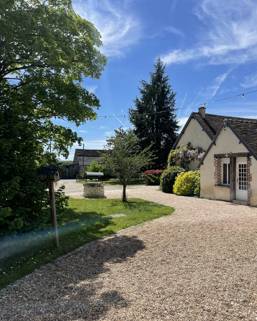 L'allée de gravier qui longe la maison, bordée de pelouse