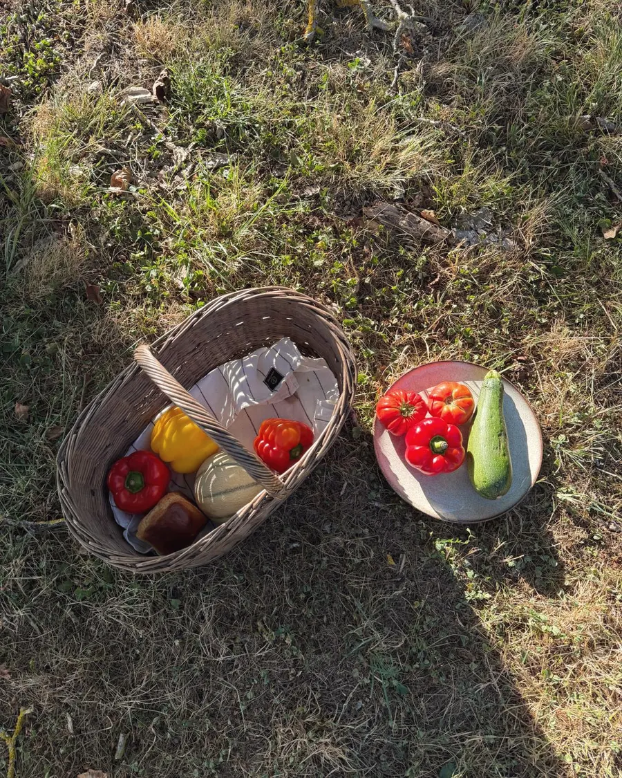Un panier de légumes et de poivrons posé dans l'herbe