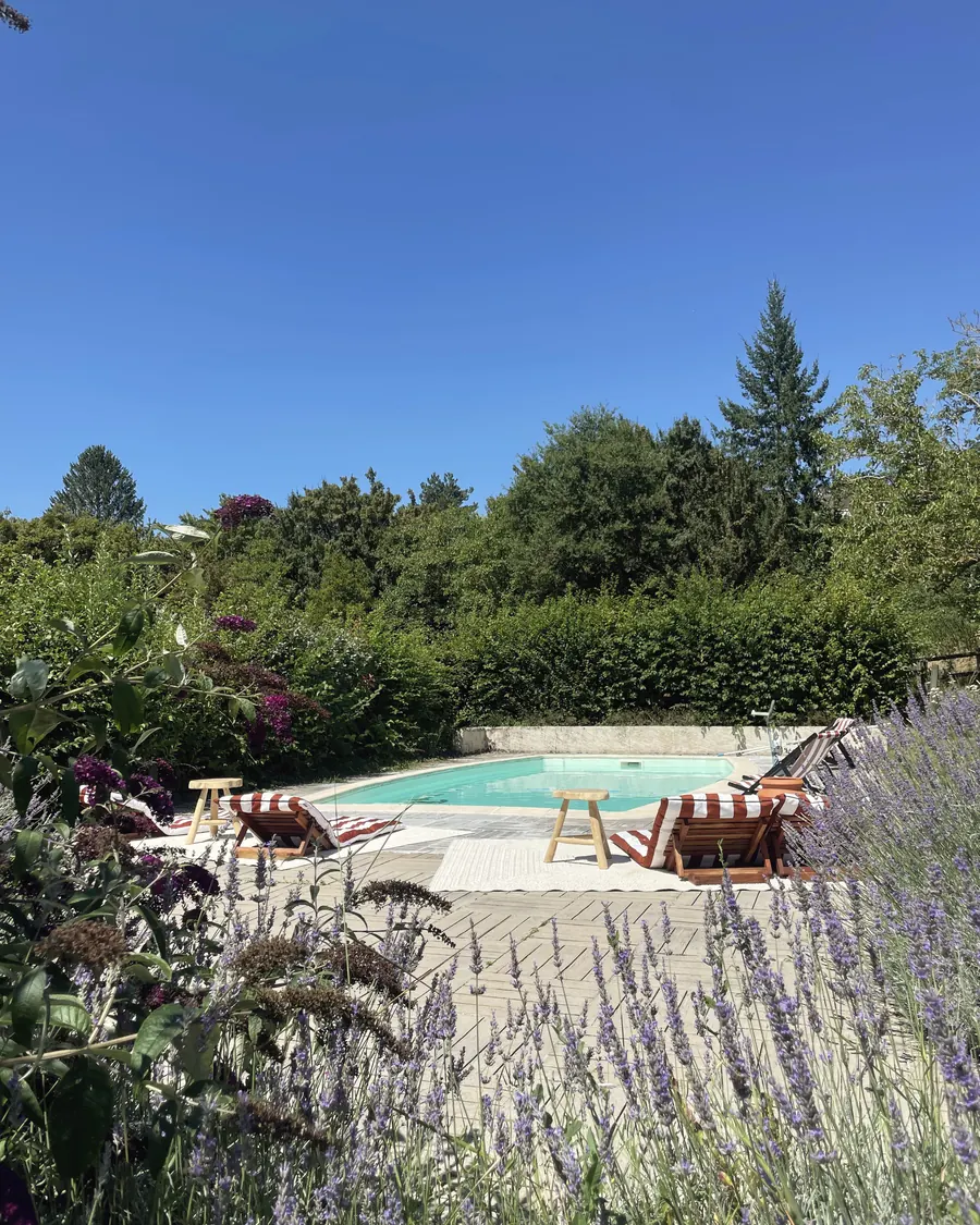 La piscine vue depuis la lavande et les massifs du jardin